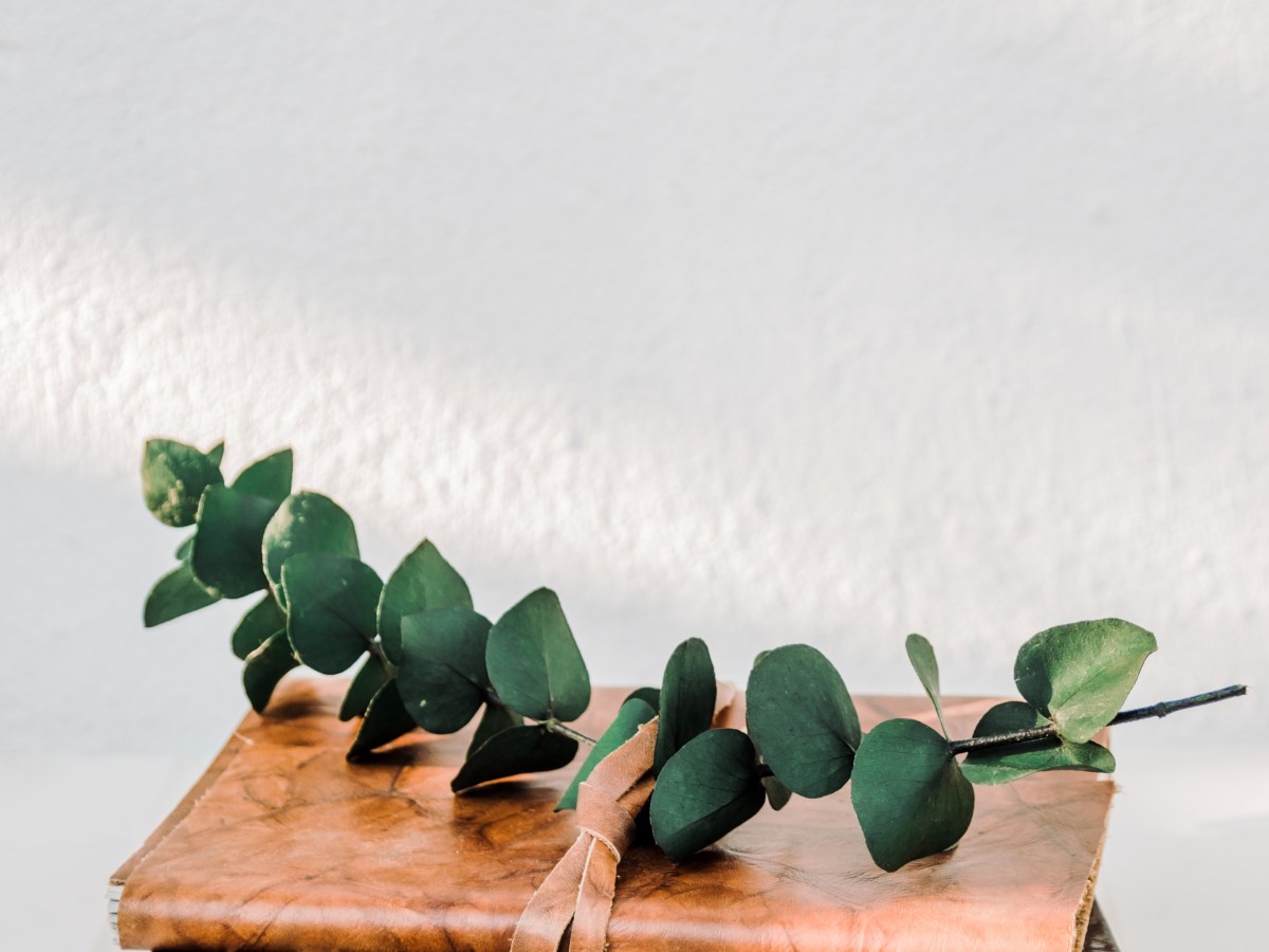 Purity is a&nbsp;Lifestyle