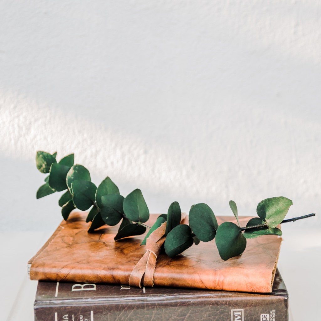 Purity is a&nbsp;Lifestyle